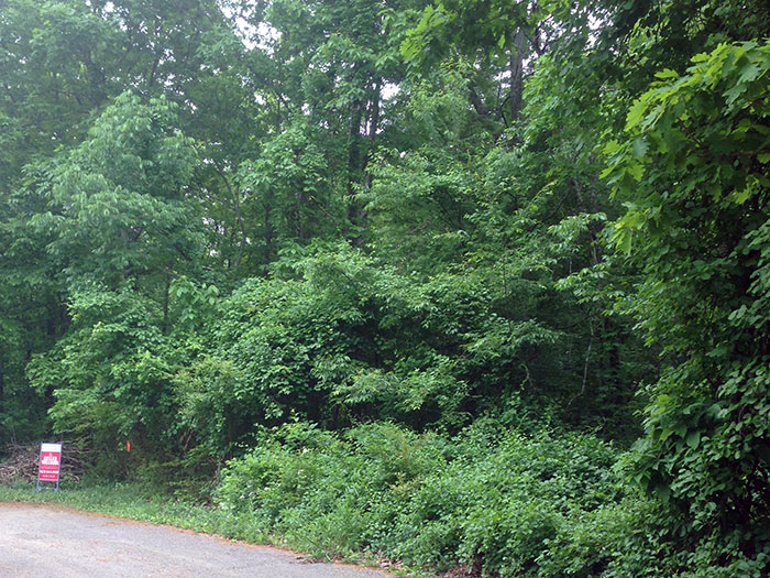 Property Clearing Before